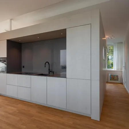 Mueller Mit See- Und Bergblick דירה פרידריכסהאפן