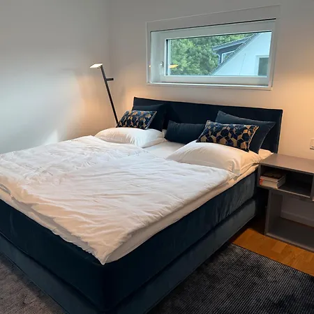 Mueller Mit See- Und Bergblick * פרידריכסהאפן